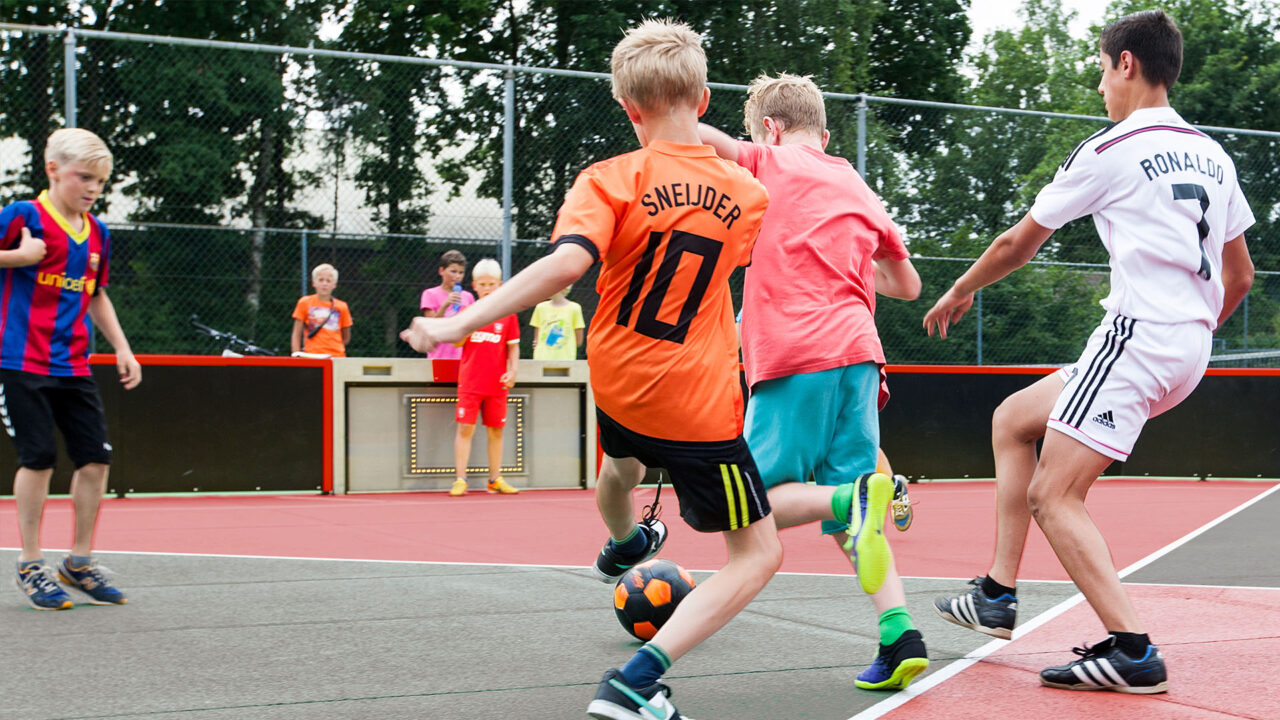 Lappset Toro - Mehrzwecksportplatz - 2010
